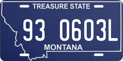 MT license plate 930603L