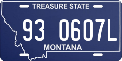 MT license plate 930607L