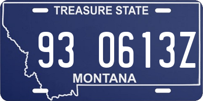 MT license plate 930613Z