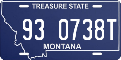 MT license plate 930738T