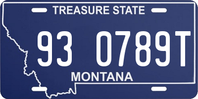 MT license plate 930789T