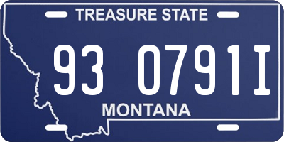 MT license plate 930791I