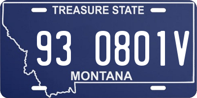MT license plate 930801V