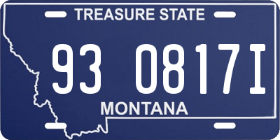 MT license plate 930817I