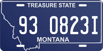 MT license plate 930823I