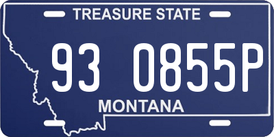 MT license plate 930855P