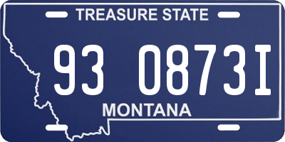MT license plate 930873I