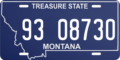 MT license plate 930873O