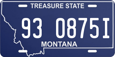 MT license plate 930875I
