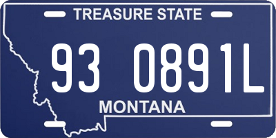MT license plate 930891L