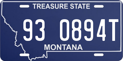 MT license plate 930894T