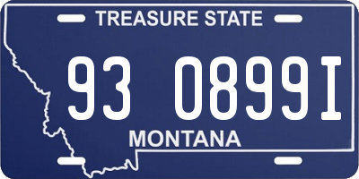 MT license plate 930899I