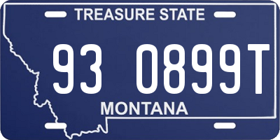 MT license plate 930899T