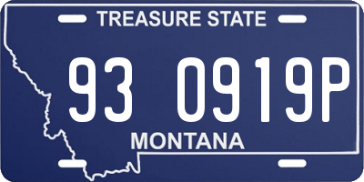 MT license plate 930919P