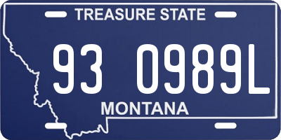 MT license plate 930989L