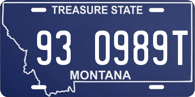 MT license plate 930989T