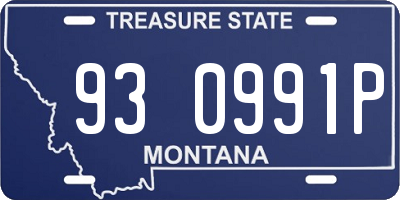 MT license plate 930991P