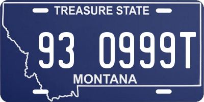 MT license plate 930999T