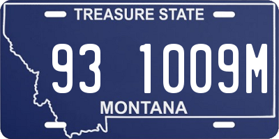 MT license plate 931009M