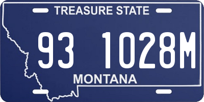 MT license plate 931028M