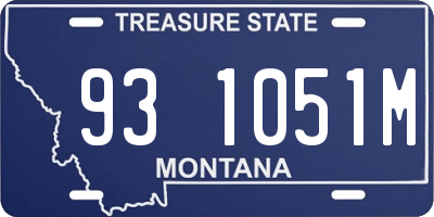MT license plate 931051M