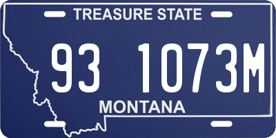 MT license plate 931073M