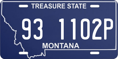 MT license plate 931102P