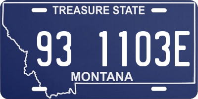 MT license plate 931103E