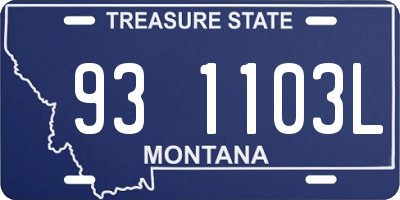 MT license plate 931103L