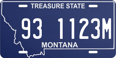 MT license plate 931123M
