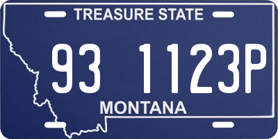 MT license plate 931123P