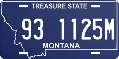 MT license plate 931125M