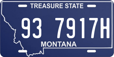 MT license plate 937917H