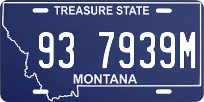 MT license plate 937939M