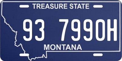 MT license plate 937990H