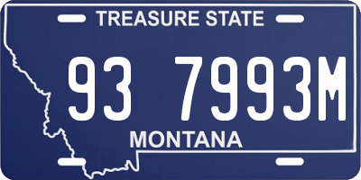 MT license plate 937993M