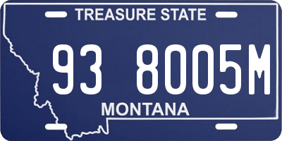MT license plate 938005M