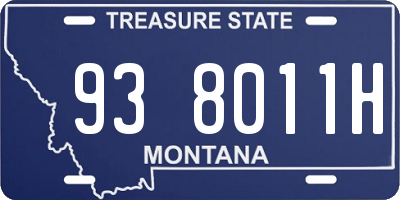 MT license plate 938011H