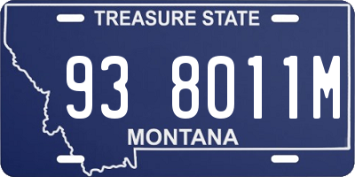 MT license plate 938011M