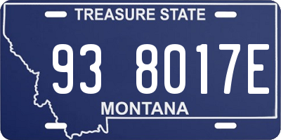 MT license plate 938017E