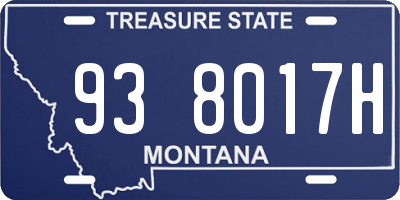 MT license plate 938017H