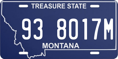 MT license plate 938017M