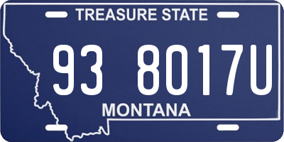 MT license plate 938017U