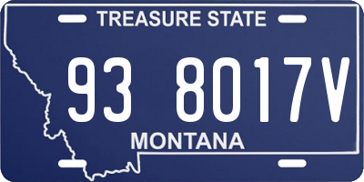 MT license plate 938017V