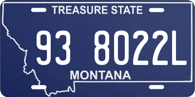 MT license plate 938022L