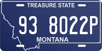 MT license plate 938022P