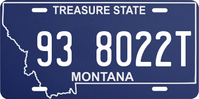 MT license plate 938022T