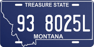 MT license plate 938025L