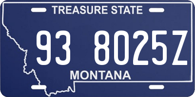 MT license plate 938025Z