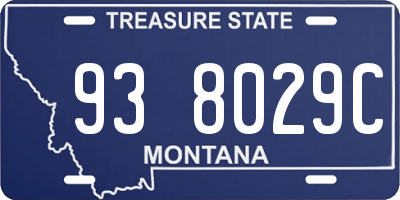 MT license plate 938029C